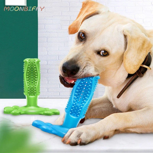 Dog Toy Toothbrush